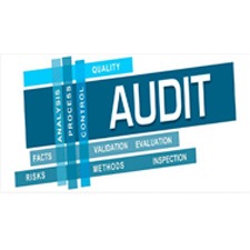 Audit and Assurance
