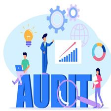 Internal Audit Services