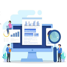 Financial Statement Audit